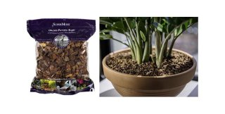 Orchid Potting Bark 4qt *now E