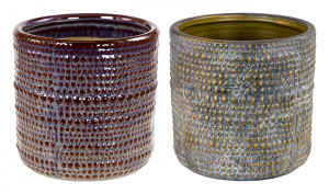  Bumpy Cylinder 6" Assorted