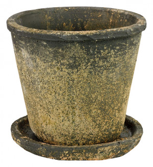 Rustic Cement W/saucer 8" Gray