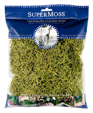 Spanish Moss 4oz Chartreuse