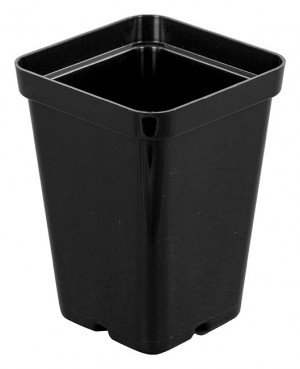 Sunpack 2.5" Plastic Pot Black