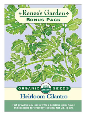 Rg Slow-bold Cilantro Bonus Pk - Wholesale Organic Seeds