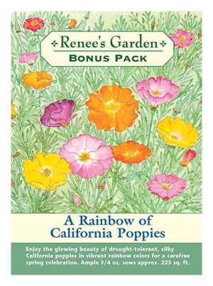 Rg California Poppies Bonus Pk