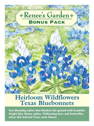 Rg Texas Bluebonnets Bonus Pk