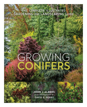 Growing Conifers