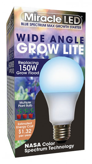 LED Wide Angle Starter Blue