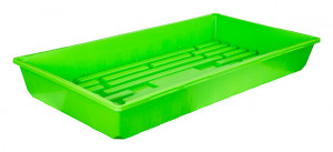 Mega Tray Green