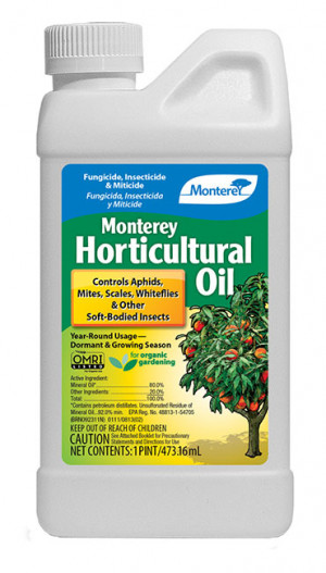 Monterey Horticultural Oil Pt