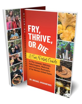 Fry Thrive Or Die: Pocket Guid - Wholesale Books