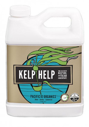 Kelp Help!   Qt