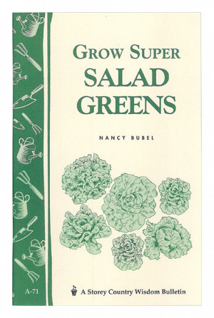Cwb Growing Salad Greens Min6