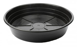 Sunpack Premium Saucer 12" Bk