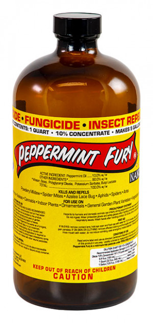 Peppermint Fury 32oz Conc