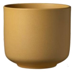 Sk  Bari 8.26" Calendula Plant Pot