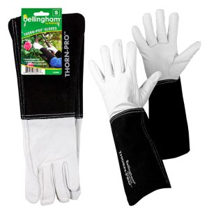 Thorn Pro Gauntlet Sm