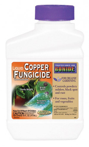 Bonide Copper Fungicide 1pt *n