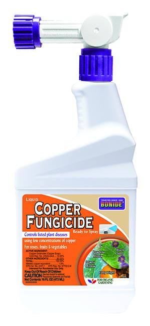 Bonide Copper Fngcde 1pt Rts *