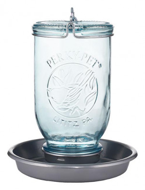 Mason Jar Waterer Blue 32oz