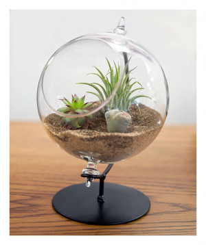 Terrarium Planter W/stand