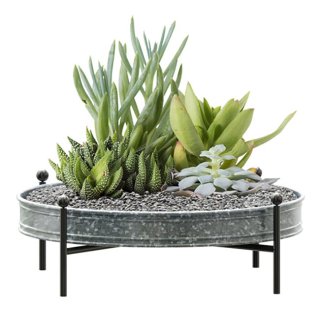 Tabletop Planter W/stand 16"