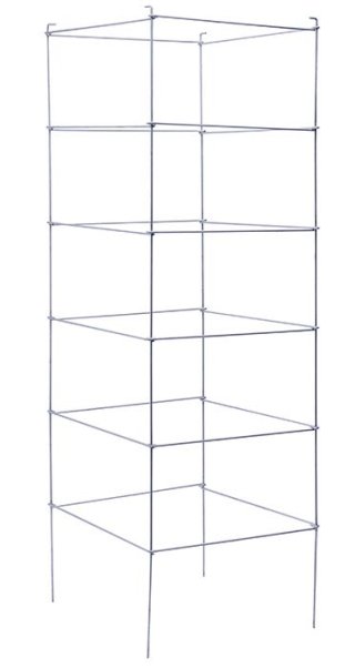 Tomato Cage Hd Galv 60"x18"*di