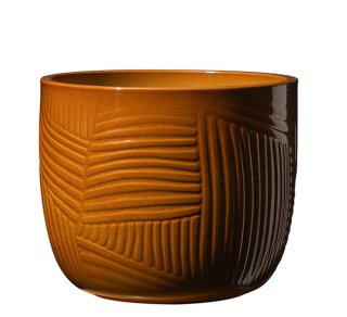 S K Leon 20cm Caramel