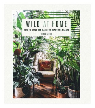 Wild At Home