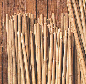 Bamboo Stake 4'x1/2" Bd250