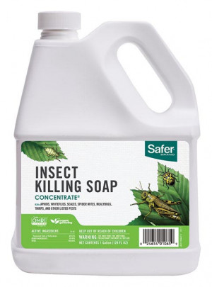 Safer Insect Soap 1gal Conc*nf