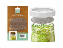 Sprouting Screen Ss *min6*