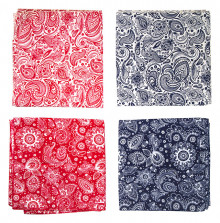 Bandana Paisley Asst.