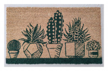 Coir Mat Succulent Garden