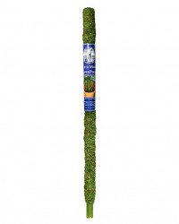 Moss Pole 36"
