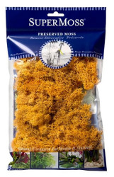 Reindeer Moss 4oz Mango*c/o
