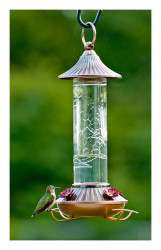 Glass Hummingbird Feeder 14 oz