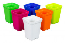 Sunpack 2.5"plastic Pot Assort