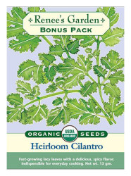 Rg Slow-bold Cilantro Bonus Pk - Wholesale Organic Seeds