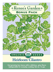 Rg Slow-bold Cilantro Bonus Pk