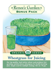 Rg Juicing Wheatgrass Bonus Pk - Organic Seeds