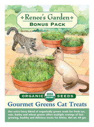 Renee's Garden - Mixed Greens For Cats - Organic Seeds 