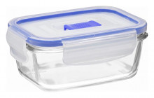 Purebox Active Stor 1.6cup