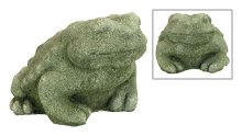 Concrete Toad, Large
