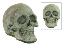 Concrete Skull