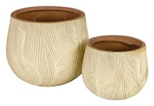 Indoor Pot Combed S/2