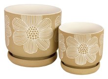 Indoor Flower S/2 W/sauc