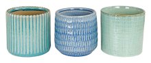 Indoor Pot 6" Assorted - Pant Pots