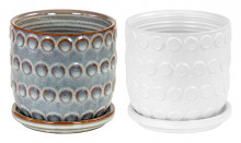 Coin Planter W/saucer 4" Asst