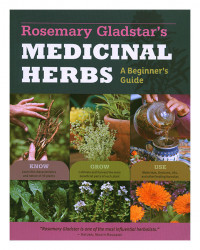 Medicinal Herbs: A Beginner's