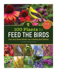 100 Plants To Feed The Birds
