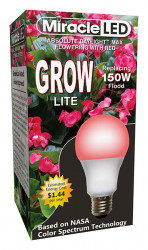 Led Bulb Flowering Red